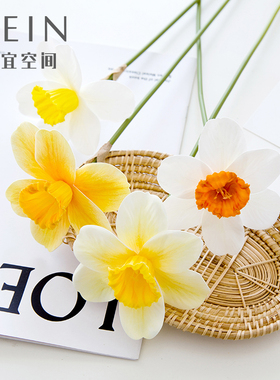 洋水仙仿真花干花黄色鸡蛋花假花永生花塑料花摄影道具婚庆花艺