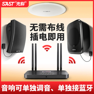 先科K1壁挂式 音响吸顶无线蓝牙商店铺音箱专用会议重低音餐厅超市