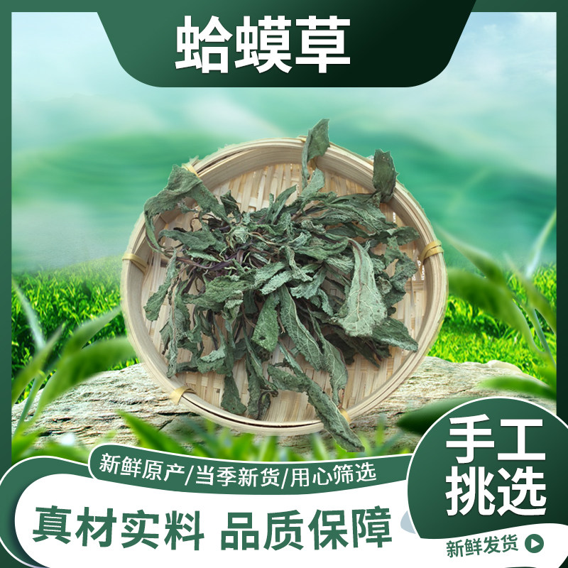 蛤蟆草干货500g新货深山全草全草赖蛤蟆皮荔枝草新鲜中药材蛤蟆草