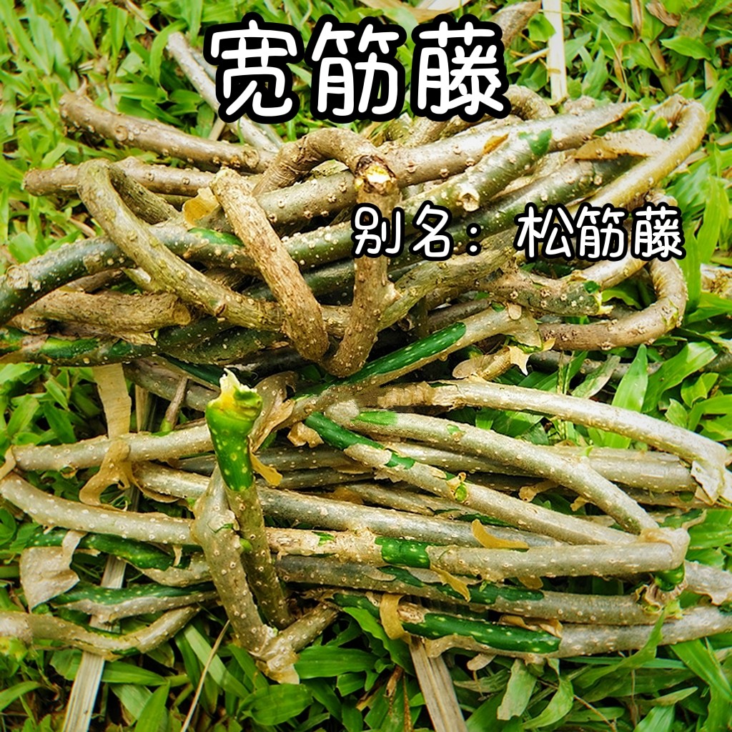 新鲜宽筋藤 新鲜松根藤 松筋藤舒筋藤软筋藤青筋藤大松身中草药材
