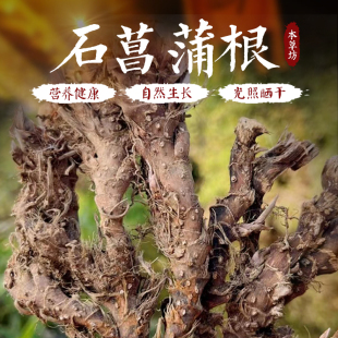石菖蒲500克 中药材石昌蒲根深山石昌朴白菖蒲臭蒲根新货三斤包邮