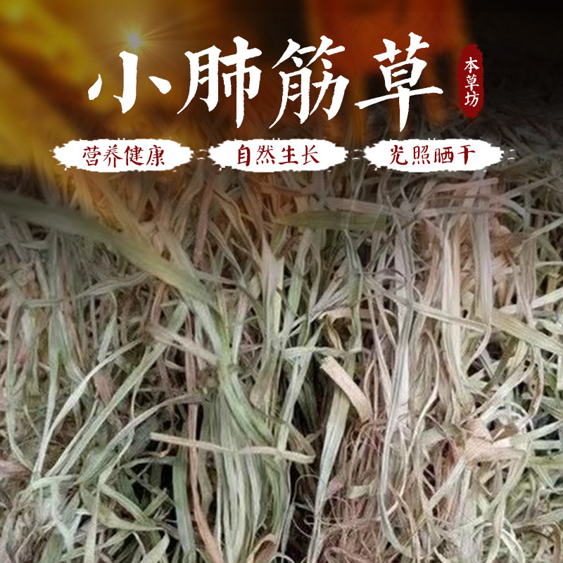 小肺心草小肺筋草小肺经草本新鲜自晒真野生新货中草药材500g包邮