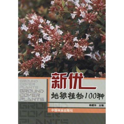 新优地被植物100种 9787503862311 杨建华 编 中国林业出版社