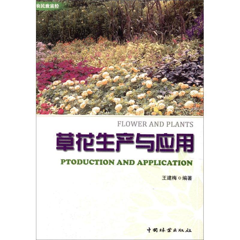 农民致富经：草花生产与应用 9787503866470王建梅编著中国林业出版社