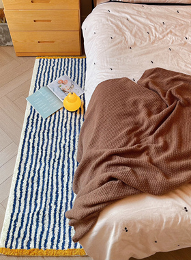 韩式ins风床边地毯卧室高级感加厚毛绒客厅沙发地垫卫浴吸水脚垫