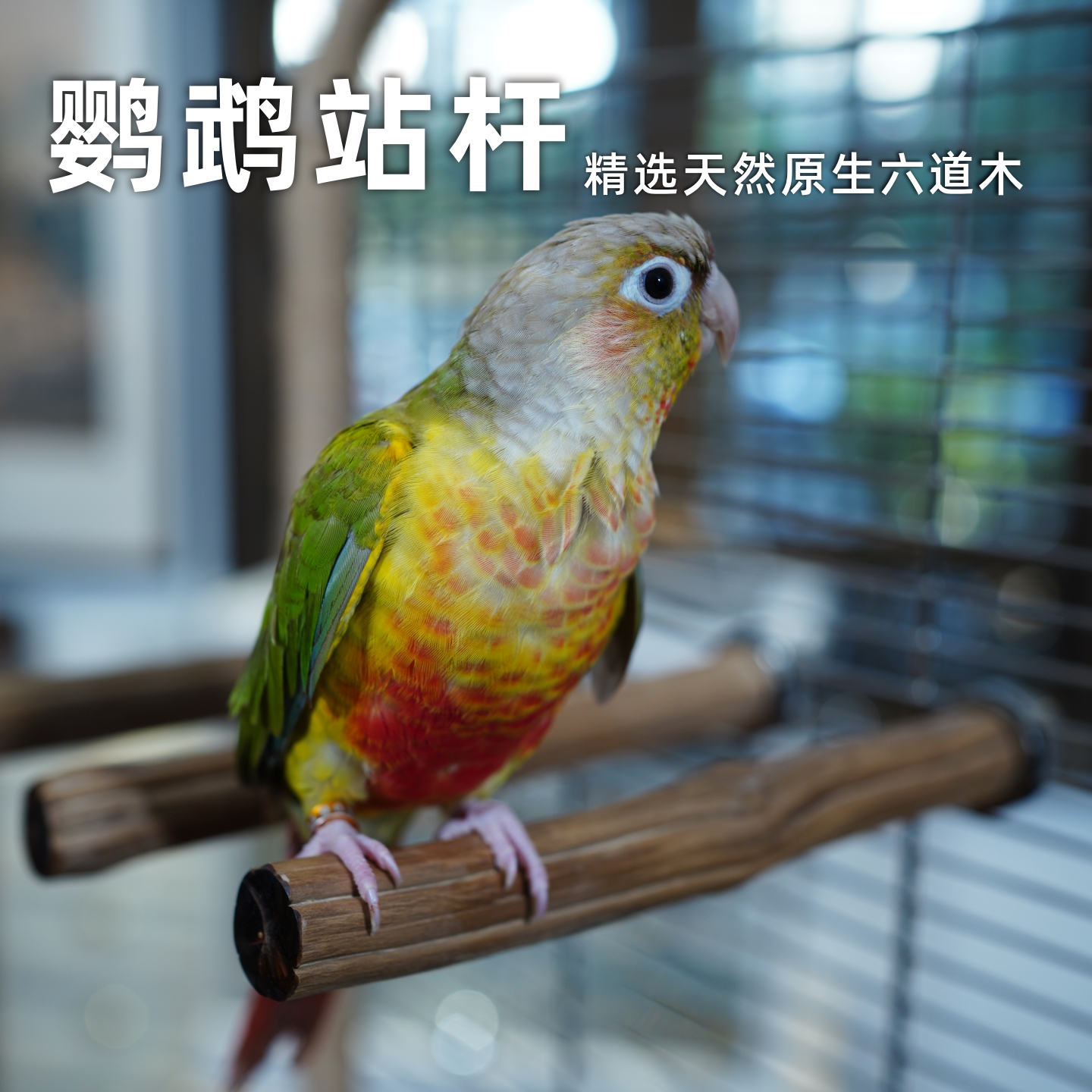 鹦鹉站杆天然六道木鸟用玩具
