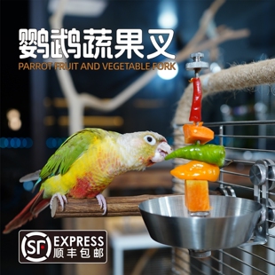 鹦鹉水果叉304不锈钢食盒蔬菜玉米苹果叉鸟用喂食器鸟笼配件用品