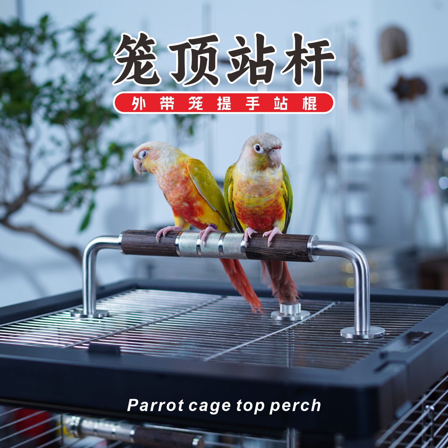 枫林外出笼提手鹦鹉笼顶站架图片