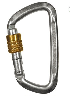 CT Climbing Technology D-SHAPE STEEL SG登山救援D型大拉力钢锁