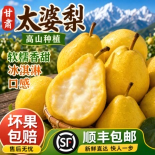 甘肃天水香蕉梨太婆梨巴梨大头梨软糯香甜多汁当季新鲜水果包邮