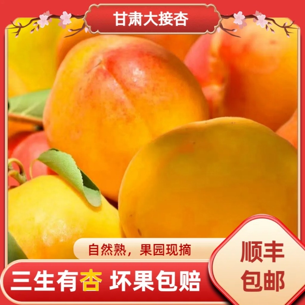 顺丰包邮甘肃头茬大接杏大黄杏5斤现摘现发当季孕妇水果酸甜包邮