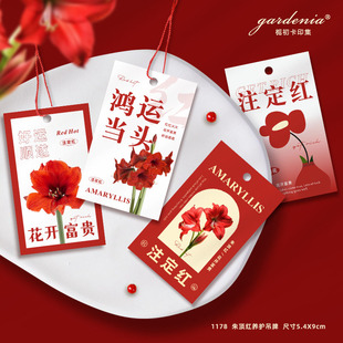 朱顶红蜡球盆栽装饰吊牌新年注定红吊卡年宵花养护提示小卡片挂卡