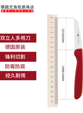 双立人水果刀厨房雕刻刀小刀