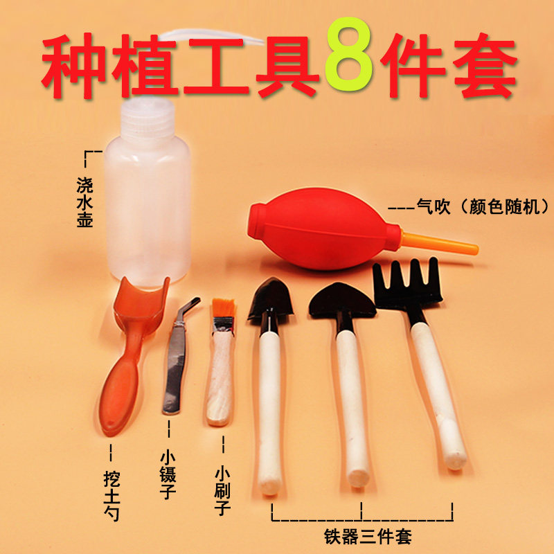多肉植物种植工具套装家用浇水壶挖土勺小刷子铁器镊子工具园艺|msdalam kategori penghantaran bunga/bunga simulasi/tumbuhan berkebun, Gardening Supplies, Shovel/Harrow/Shovel/Hoe (baru), Shovel - dari Buy2taobao.com untuk memberikan perkhidmatan ejen Taobao profesional membeli