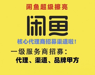 闲鱼竞价推广开户搜索置顶排名常规擦灰服务免费代运营可禁投行业