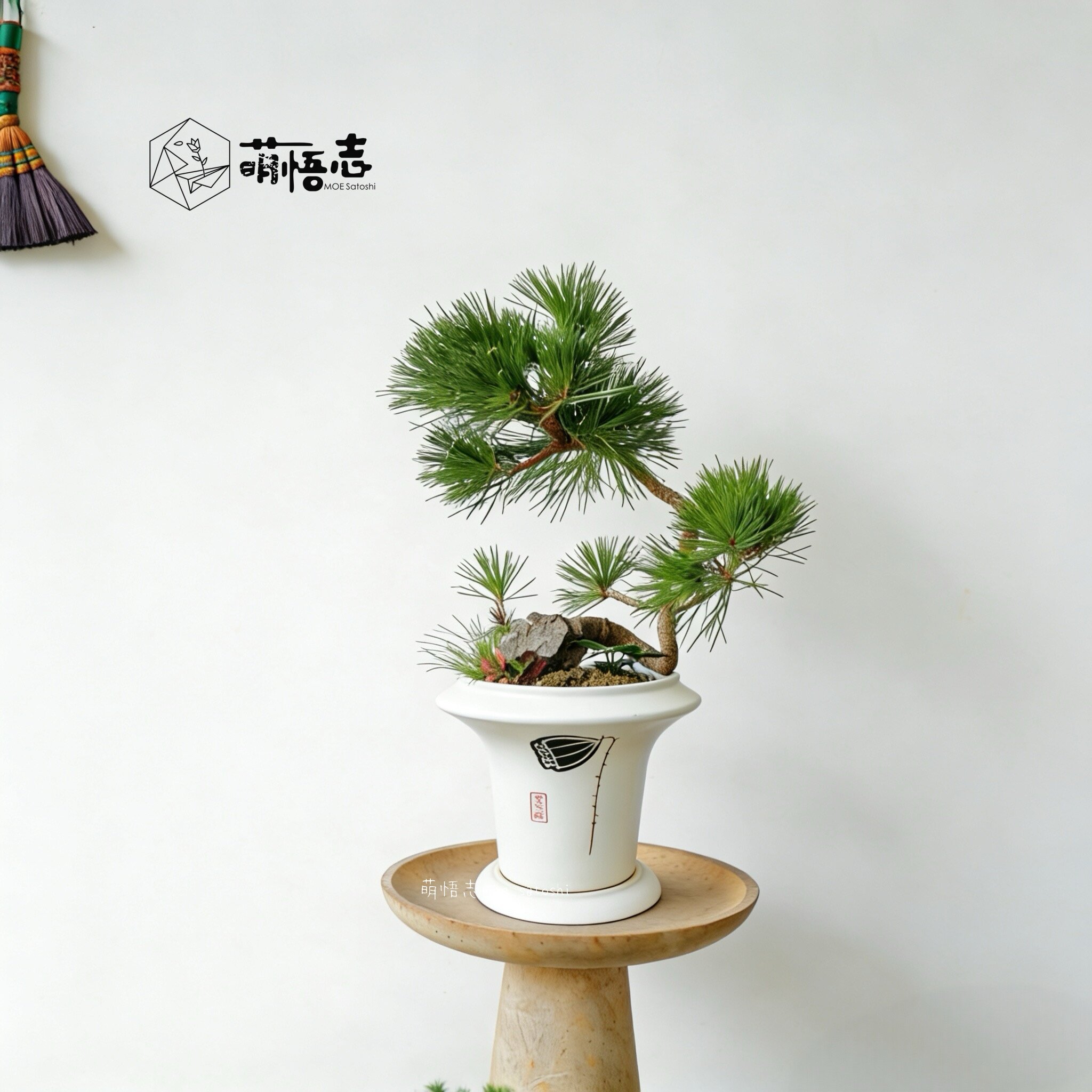 景德镇新中式手绘陶瓷花盆带底座玄关摆件三角梅流泉枫专用清仓