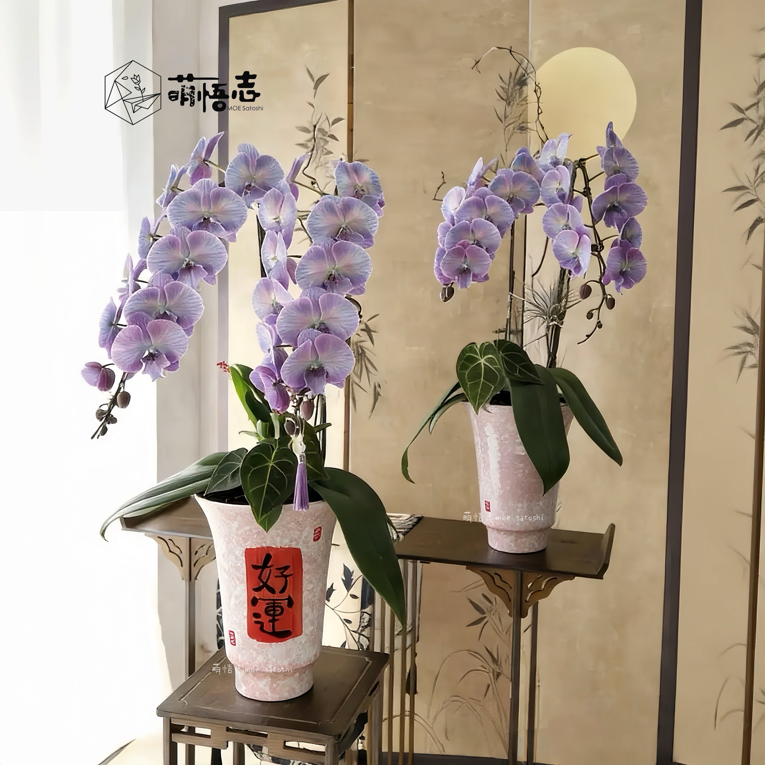 景德镇中式喜庆陶瓷花盆高级感家居盆栽冬青红果惠兰蝴蝶兰专用盆