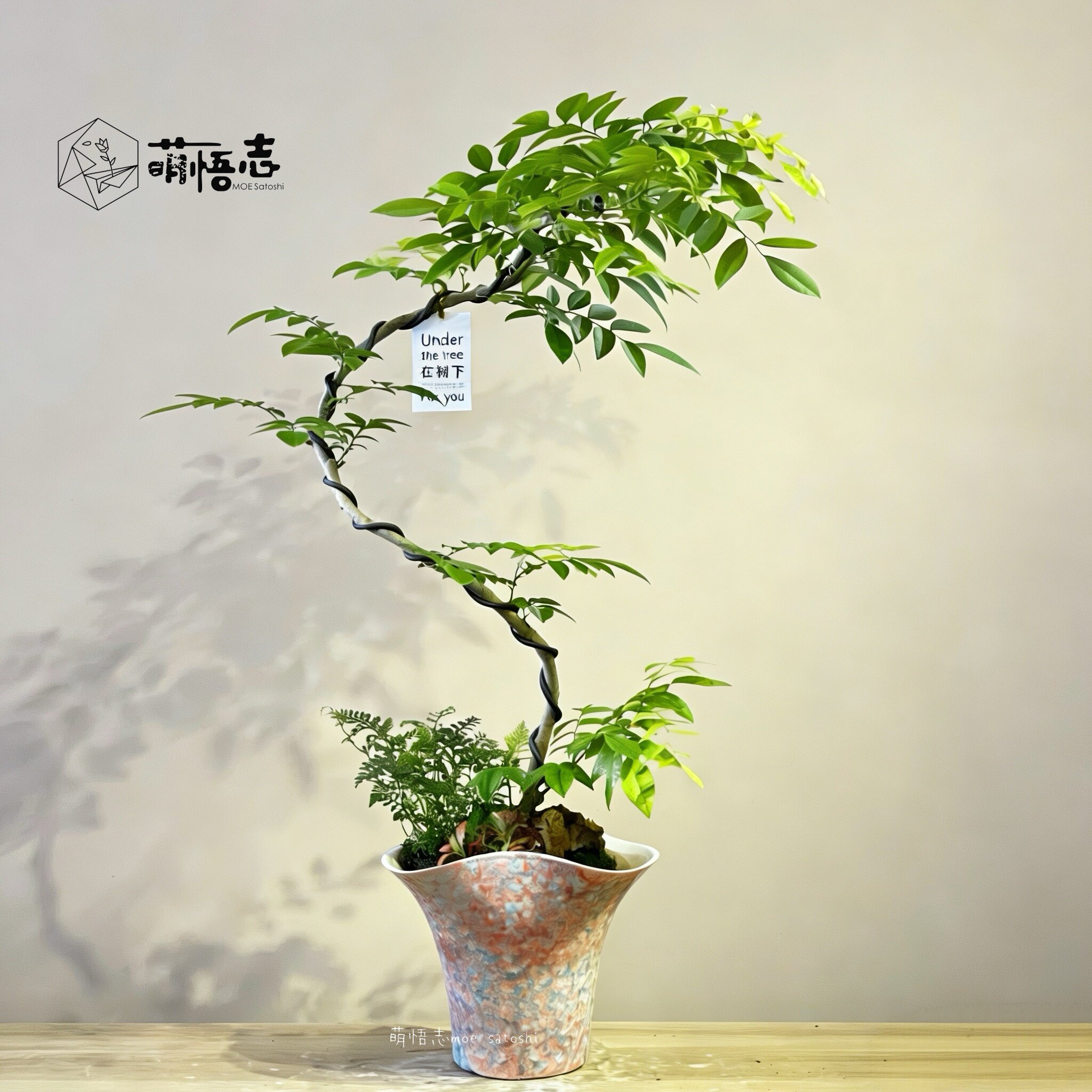 景德镇陶瓷手工花盆桌面绿植花盆三角梅文心兰蝴蝶兰专用花盆清仓