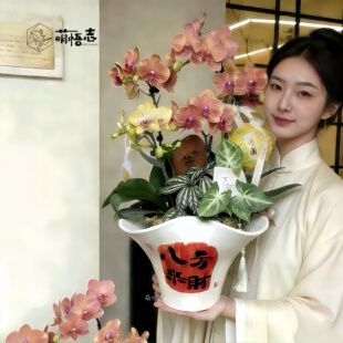 景德镇陶瓷花盆八方来财中式手捏异形蝴蝶兰惠兰红果冬青专用清仓