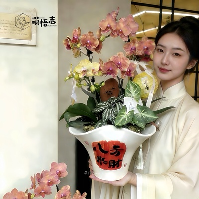 景德镇陶瓷手捏异形花盆清仓