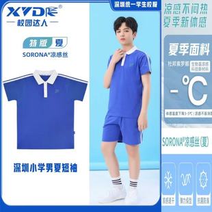 校园达人深圳校服特版小学生男短袖短T夏季校服透气速干体恤上衣