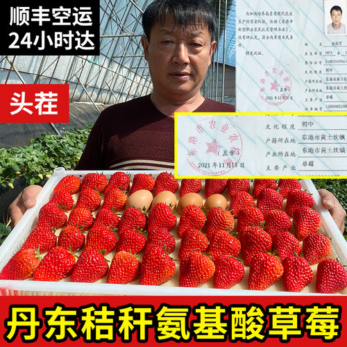 丹东99草莓不甜包退顺丰送货上门