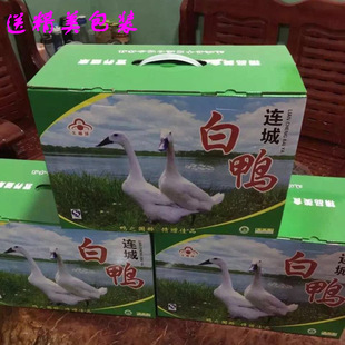正宗连城白鸭白鹜鸭足 2年活鸭子现杀现发白鹭鸭老鸭子土鸭公顺丰