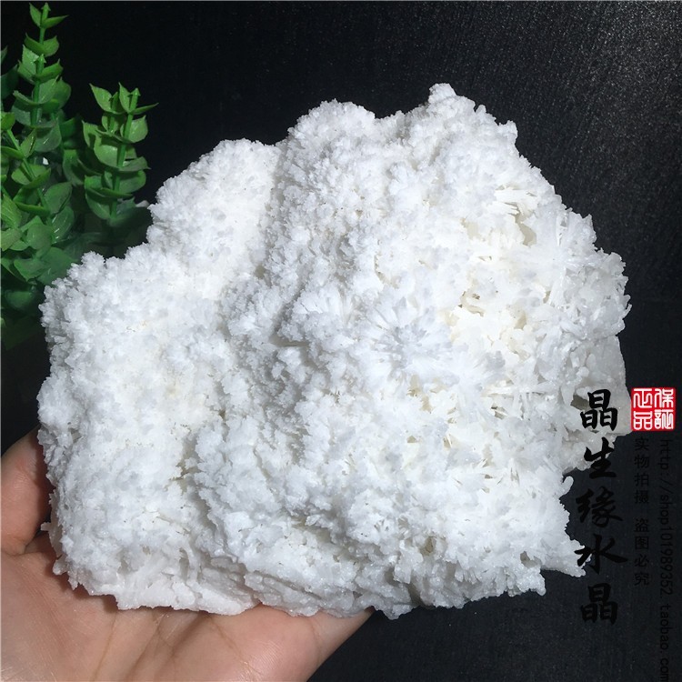 天然白文石矿物晶体实物图