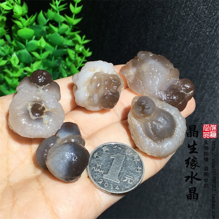 天然戈壁滩奇石玛瑙熊猫玛瑙小原矿科普石实物图一组多款可选