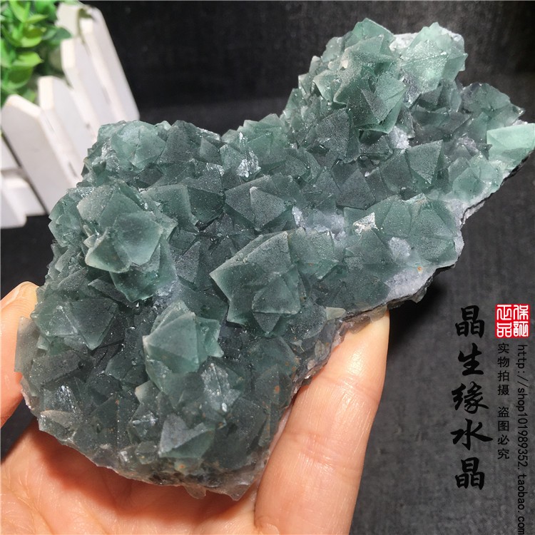 天然福建八面体绿萤石原矿石矿物晶体标本摆件观赏收藏奇石实物图