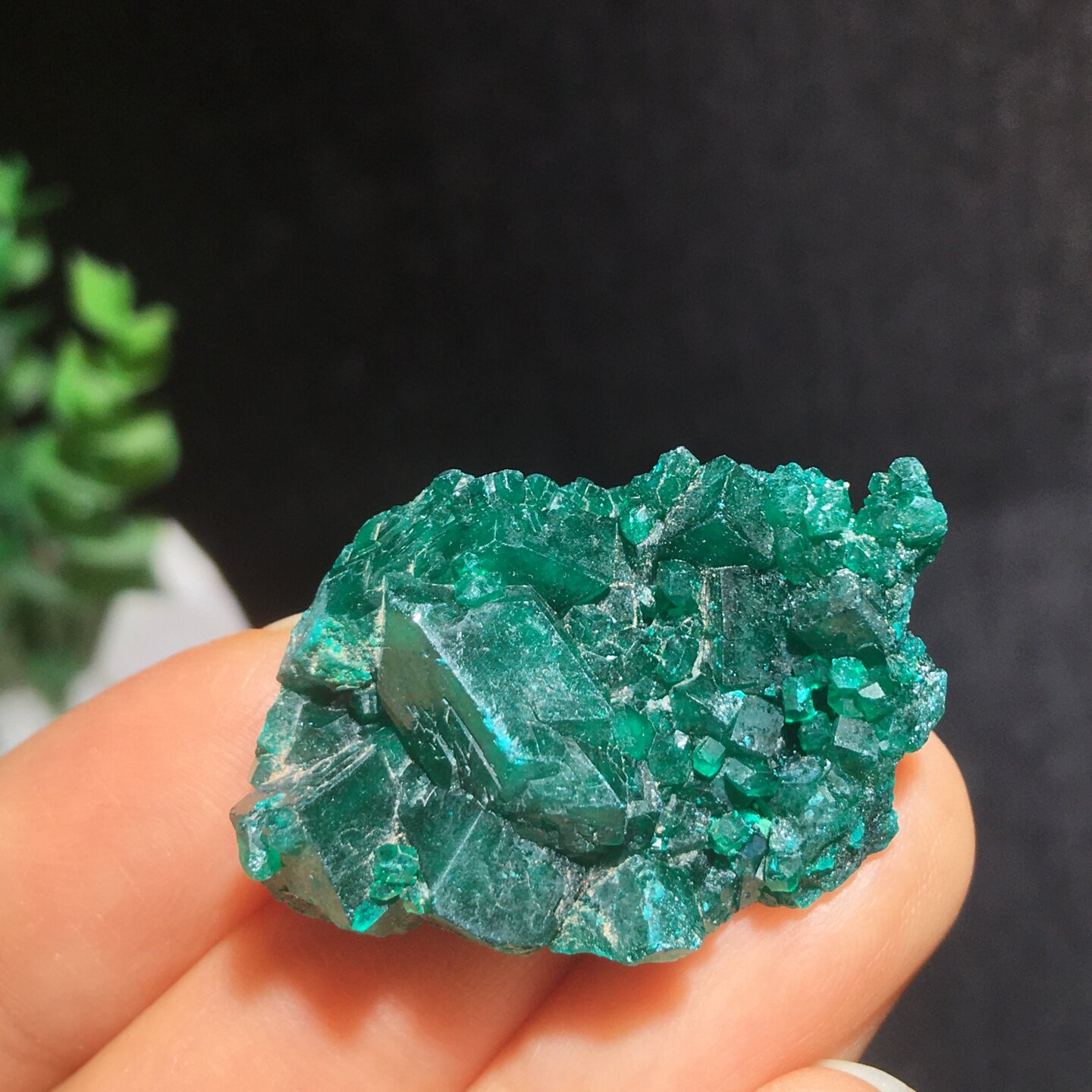 天然刚果翠铜矿小原矿收藏矿石实物图特价