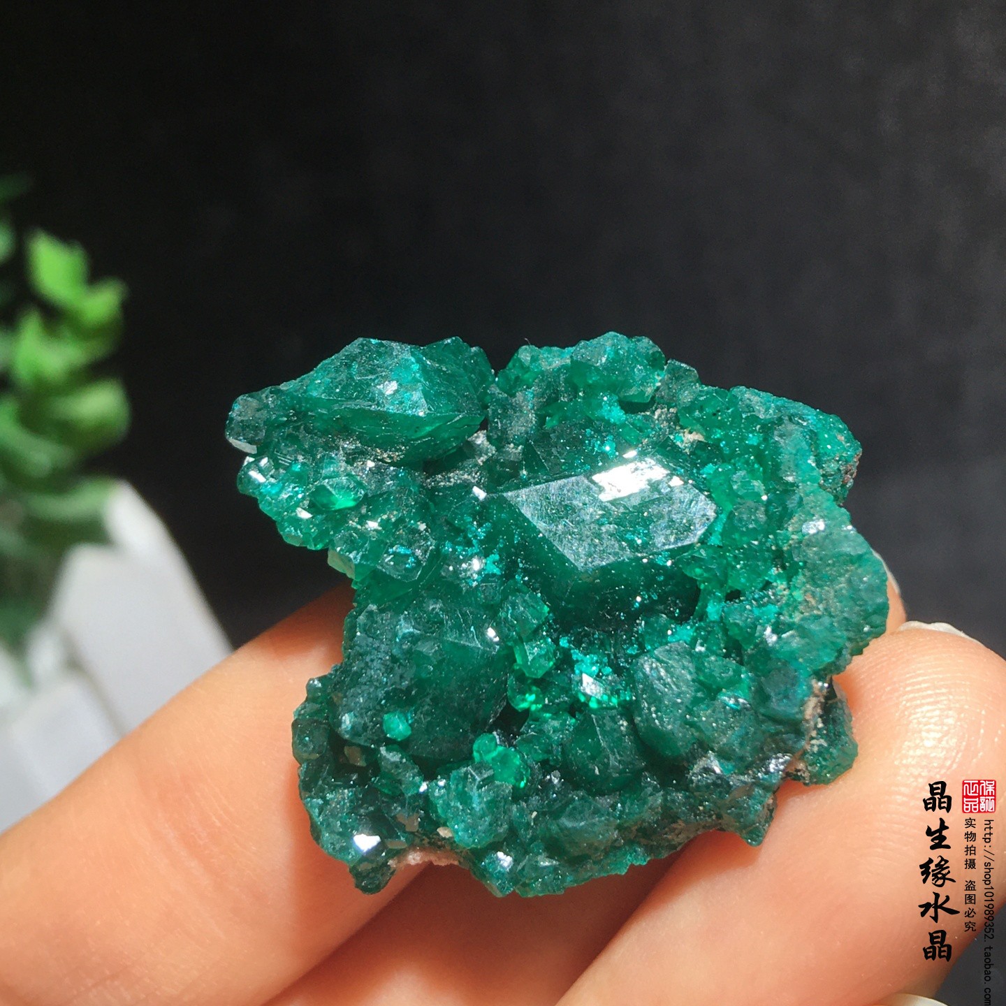 天然刚果翠铜矿小原矿收藏矿石实物图特价