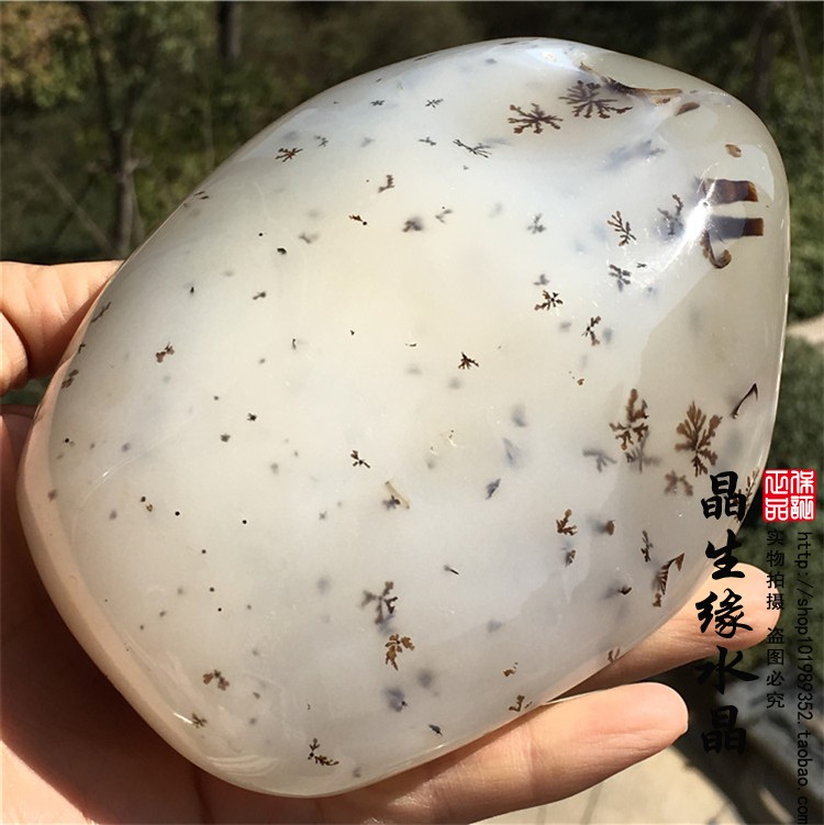天然马达加斯加海洋玉髓水草