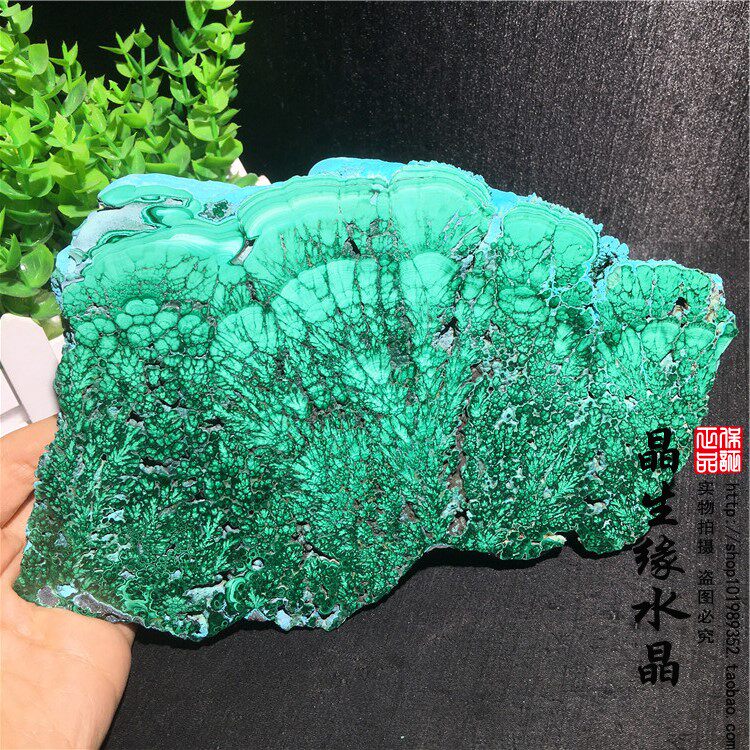 天然刚果精品硅孔雀石切片矿物晶体标本矿石原石收藏摆件实物图