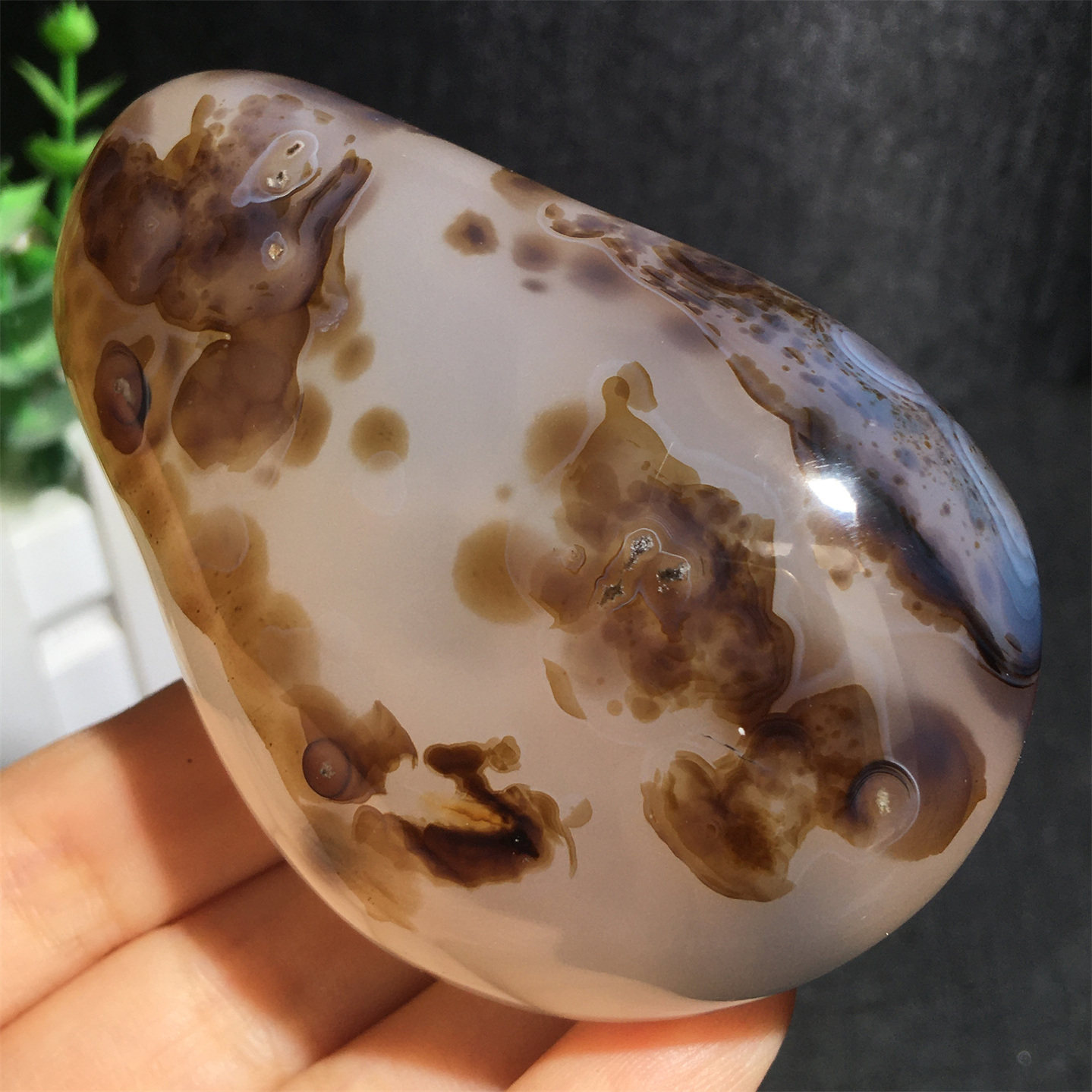 天然马达加斯加海洋水草玛瑙原石把玩石收藏奇石实物图