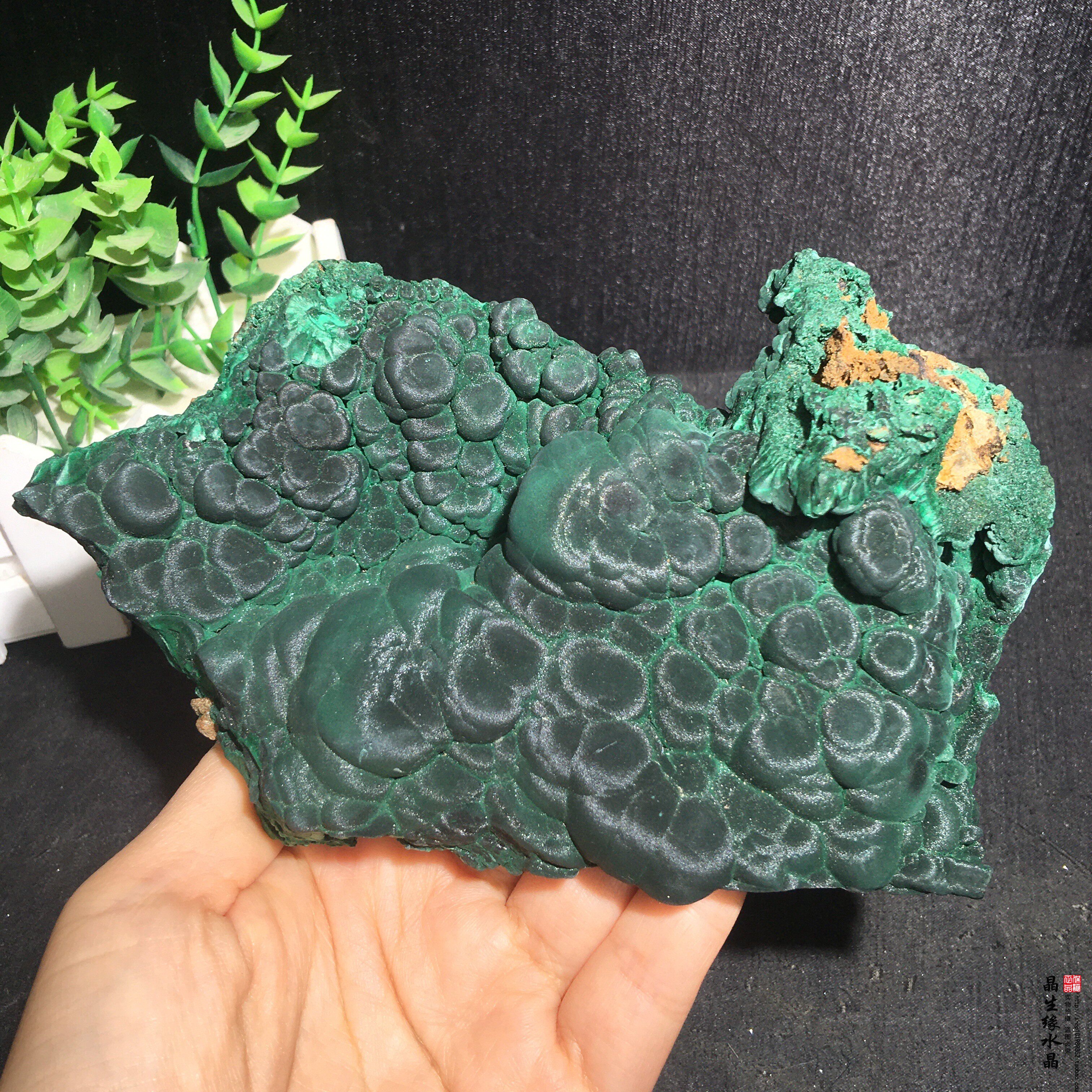天然猫眼孔雀石摆件水晶矿石收藏矿实物图特价