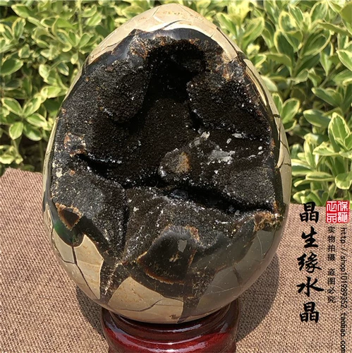 Природная черепаха задний камень, крэкстоун, долголетие, схема долговечности черепахи, удача, духовный камень Странный камень