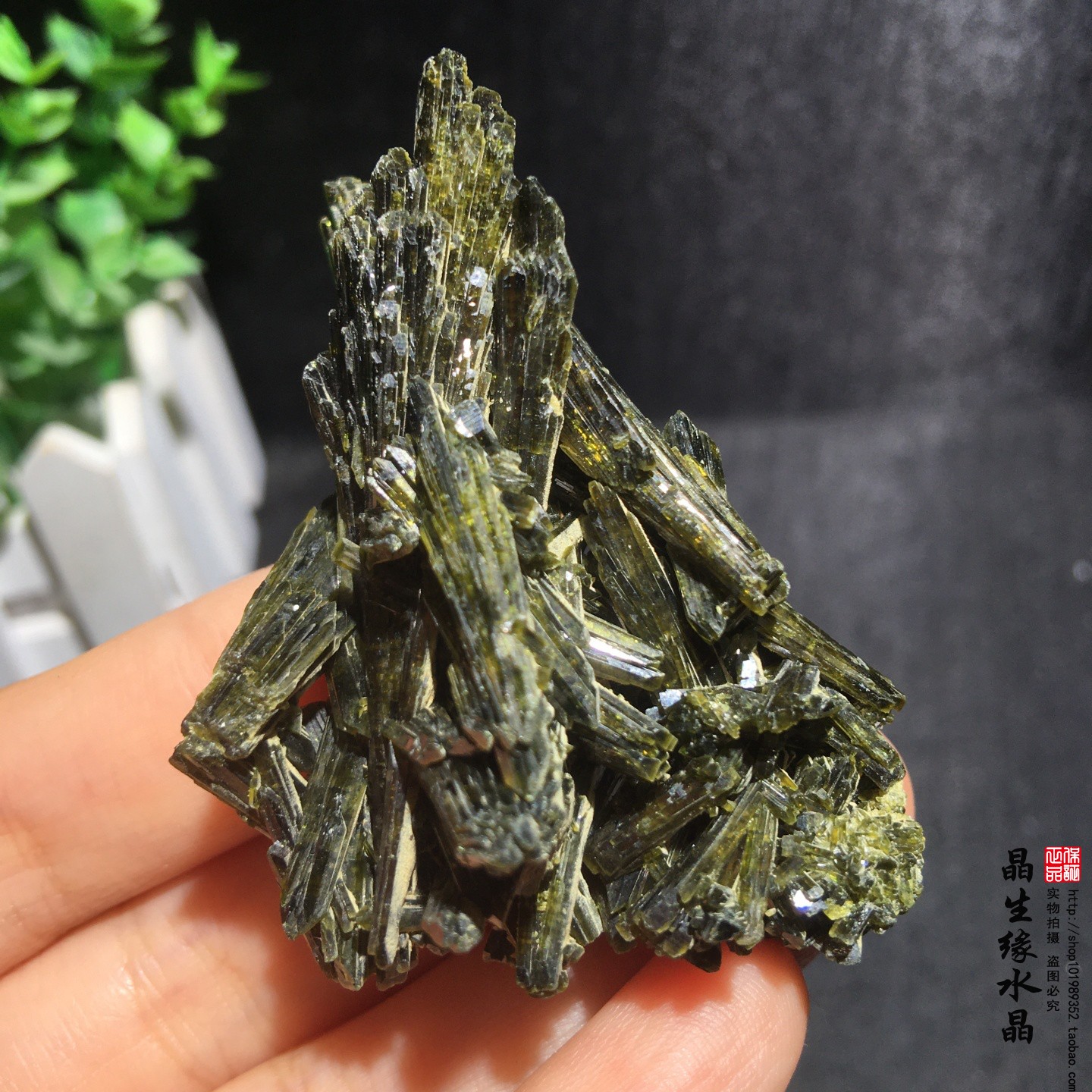 天然绿帘石原矿小原矿教学标本收藏石实物图