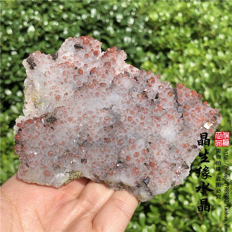天然红水晶簇共生地质摆件黄铁矿