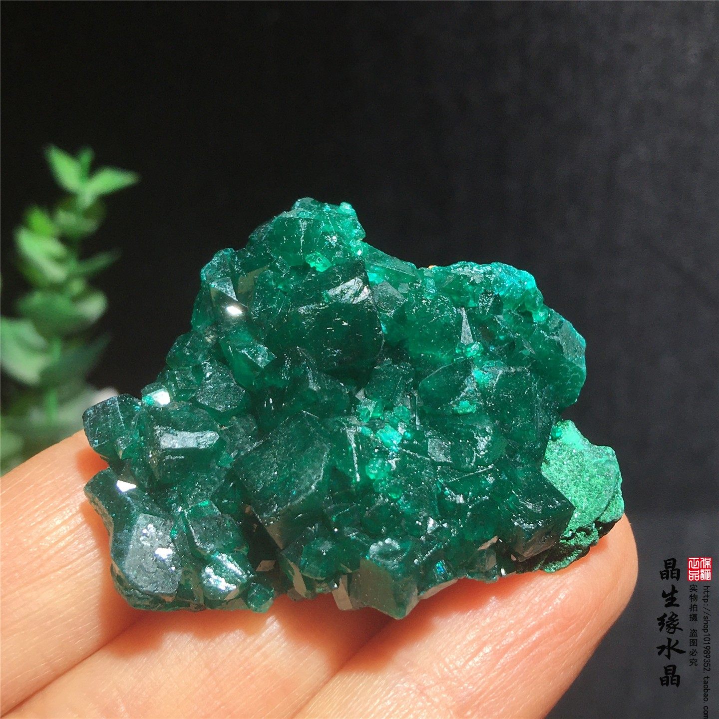 天然刚果翠铜矿原矿收藏矿石实物图