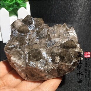 天然内蒙水晶原矿茶晶菠萝簇小摆件实物