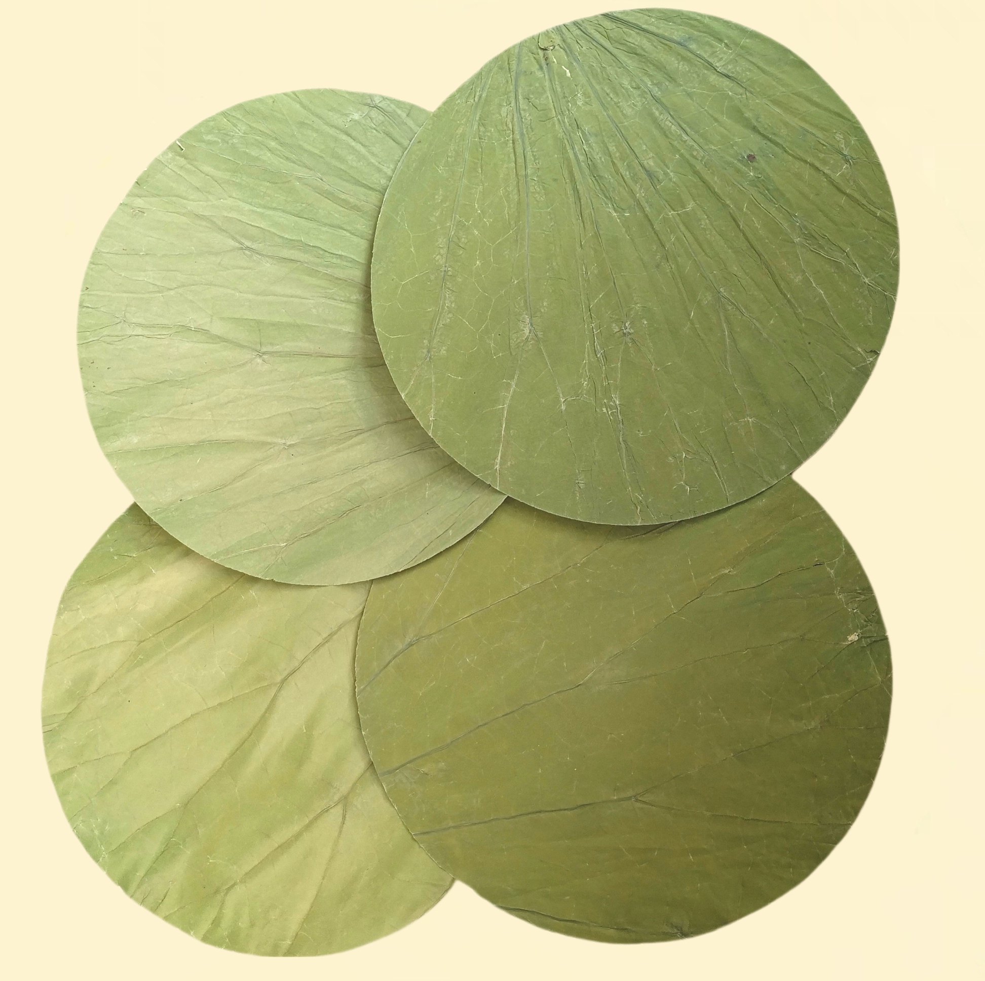 荷叶整张圆形12到30厘米干荷叶糯米鸡叫花鸡荷叶木桶饭熬粥蒸笼垫