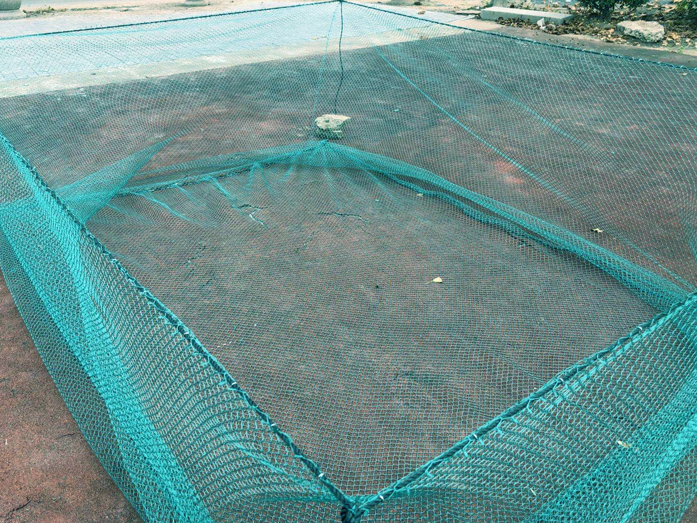 定做养鱼网箱水产存鱼网箱养殖网箱大鱼塘渔网白色尼龙不伤鱼网箱,户外/登山/野营/旅行用品,鱼网/虾笼/其它渔具,淘宝优惠券,粉丝福利购,淘宝优惠卷