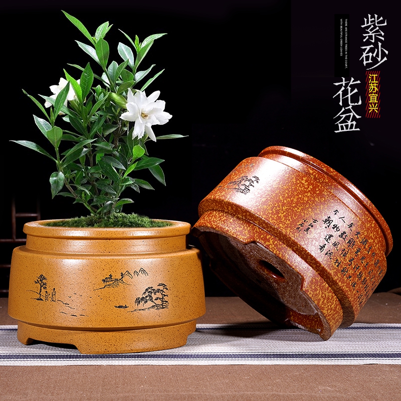 宜兴紫砂花盆创意专用植物简约盆
