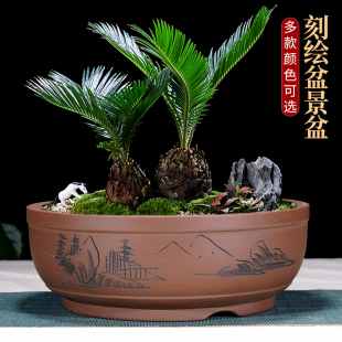 紫砂花盆陶瓷特大造型圆形花盆树桩老桩绿植花卉盆景盆种菜盆免邮