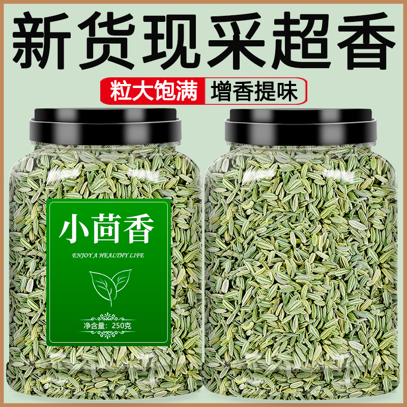 甘肃小茴香增香提味香料调料