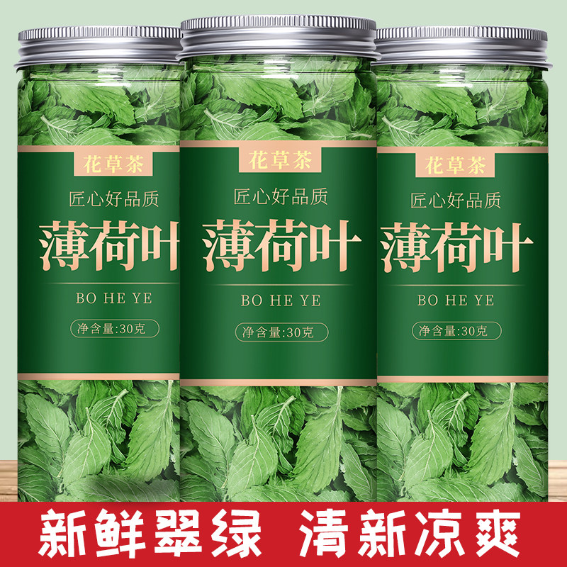 薄荷茶新鲜食用夏天泡水喝的东西图片