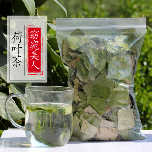 荷叶茶荷叶片微山湖新鲜荷叶泡茶油脂非荷叶粒大肚子茶冬瓜荷叶茶