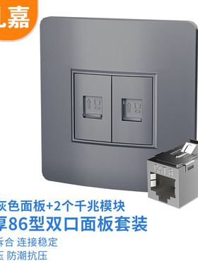 礼嘉（LIJIA）六类千兆模块面板组合 双口面板+六类直通屏蔽模块2个 二位网络模块插座免打线灰色款 LJ-MH862