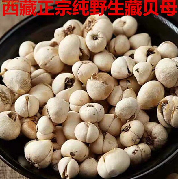 西藏藏贝母100克正宗藏贝母中药材正品非川贝粉川贝母